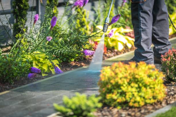 Best Spring Cleaning  in Sidney, OH
