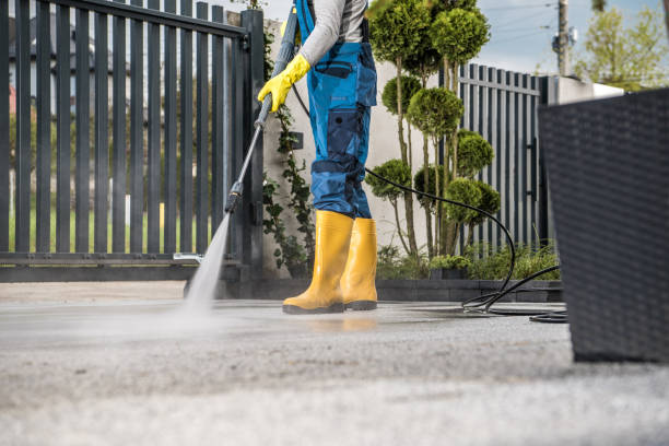Best Animal Enclosure Cleaning  in Sidney, OH